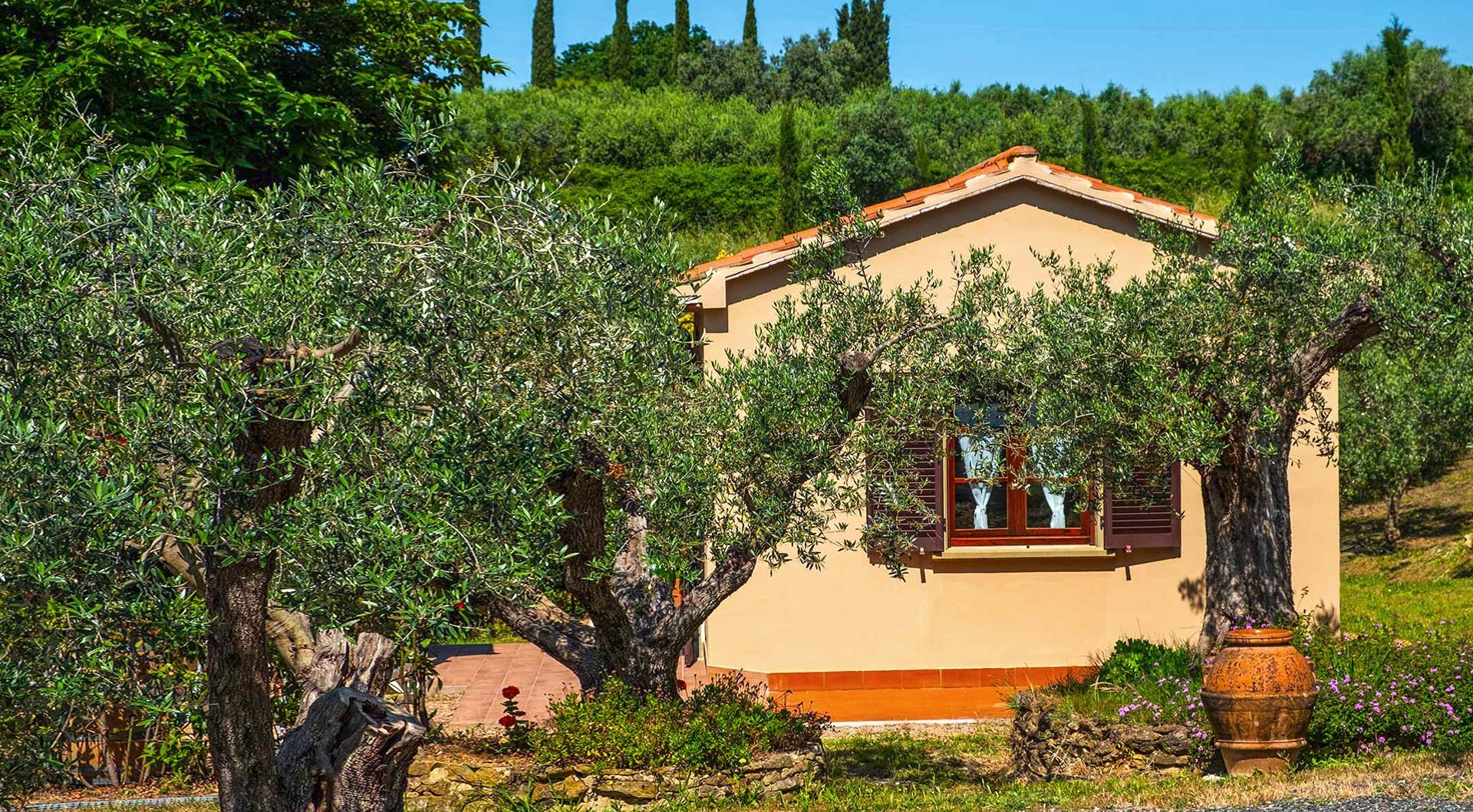 An oasis of peace and quiet, with apartments in the green setting of our olive grove